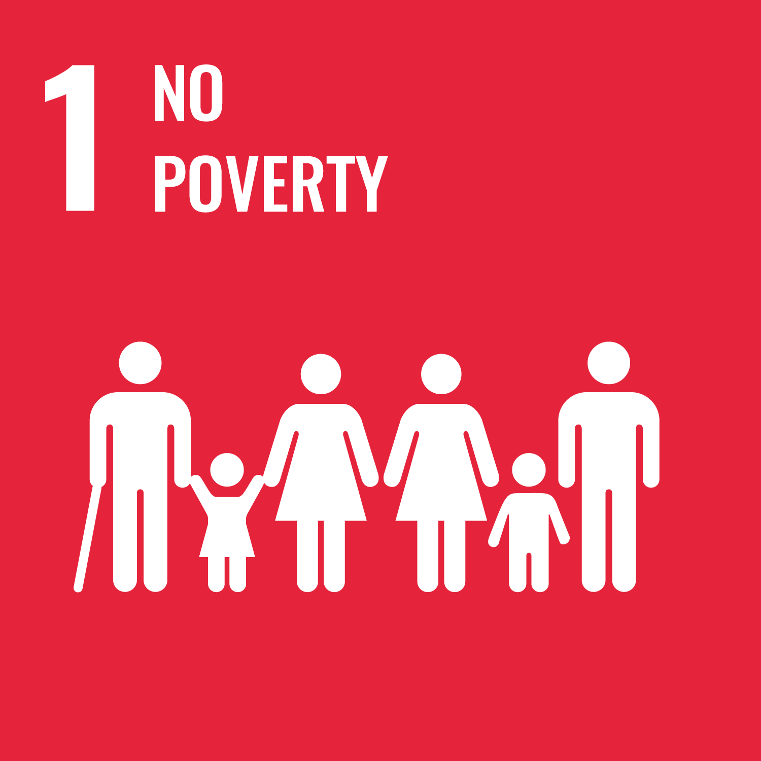 SDG Logo