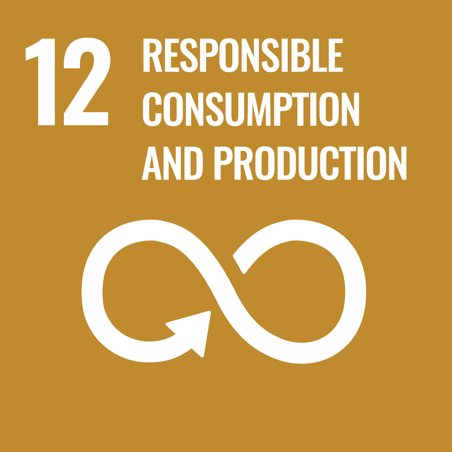 SDG Logo