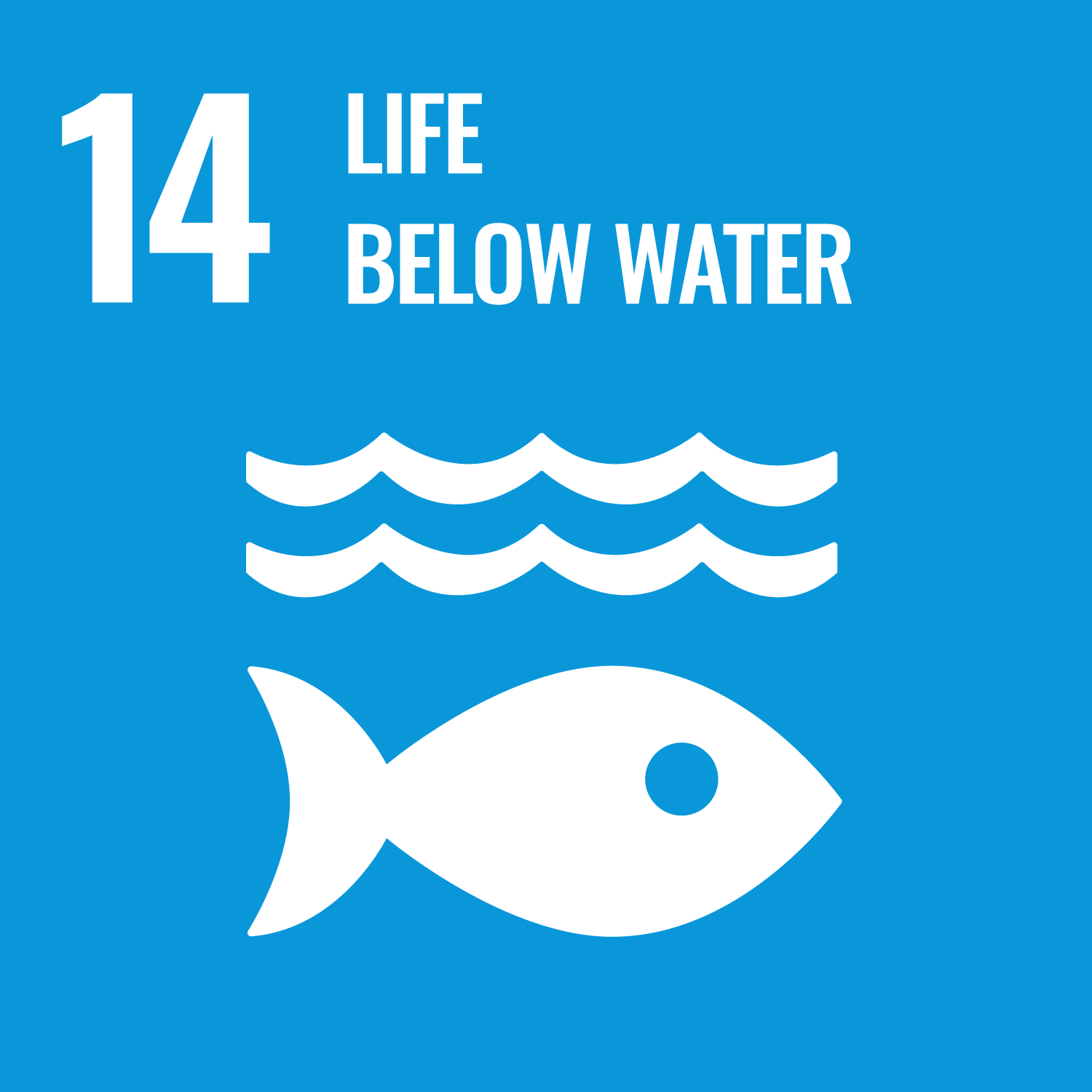 SDG Logo