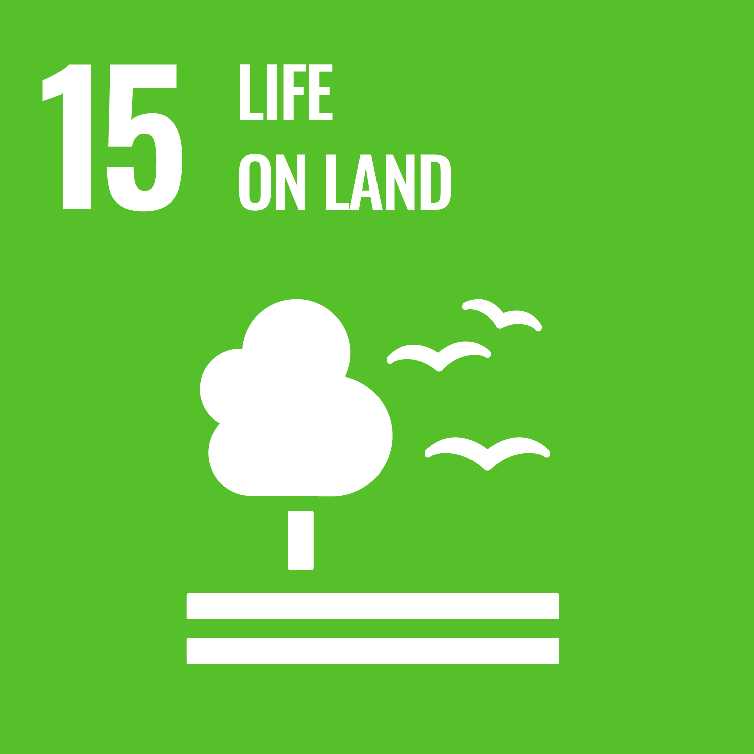 SDG Logo