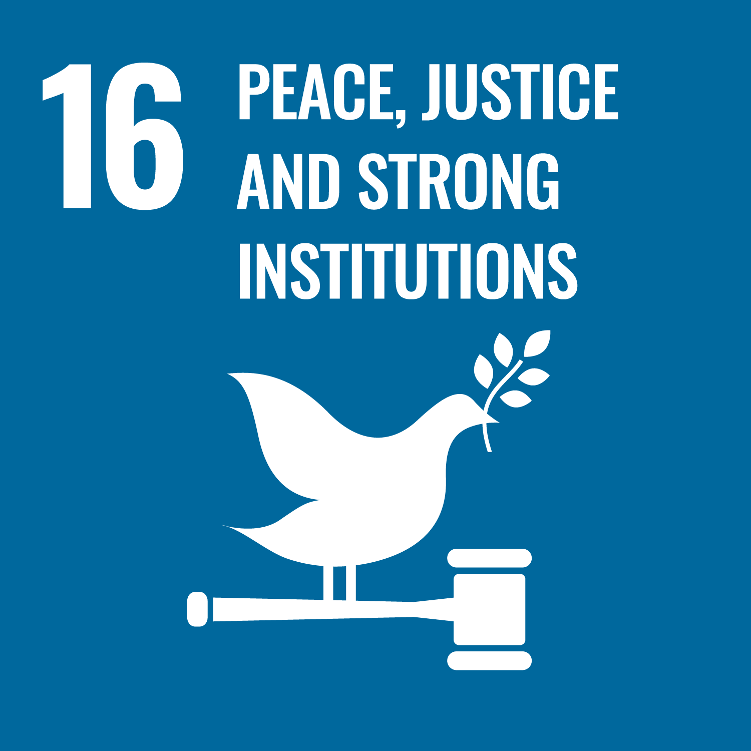 SDG Logo