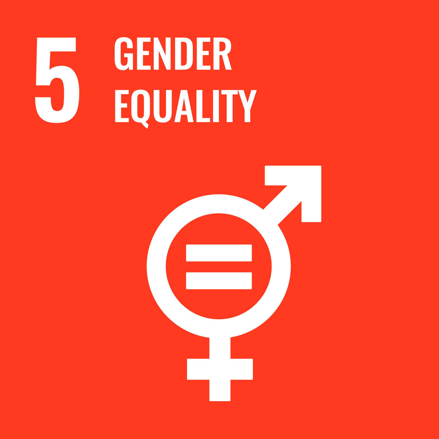 SDG Logo