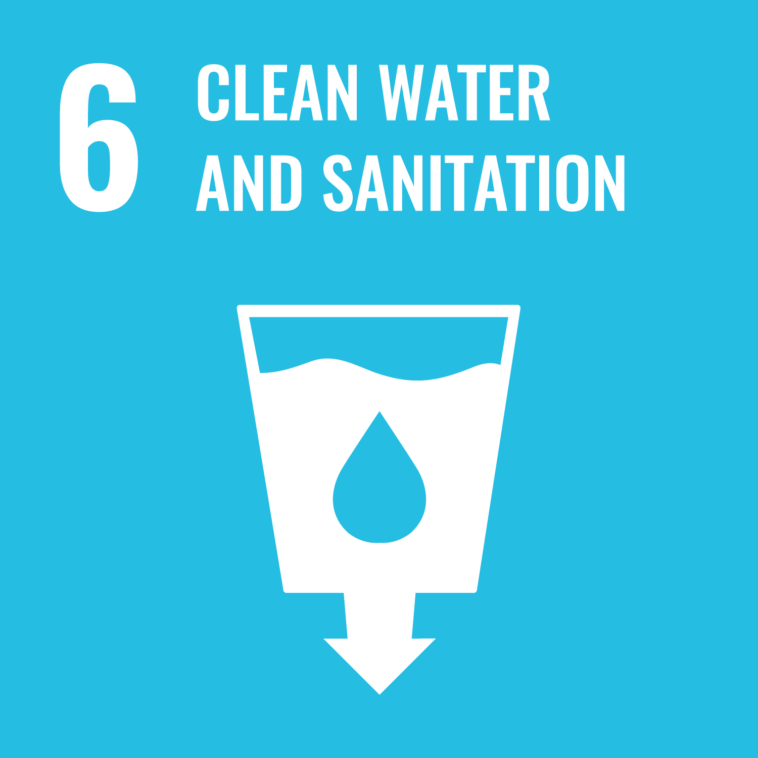 SDG Logo