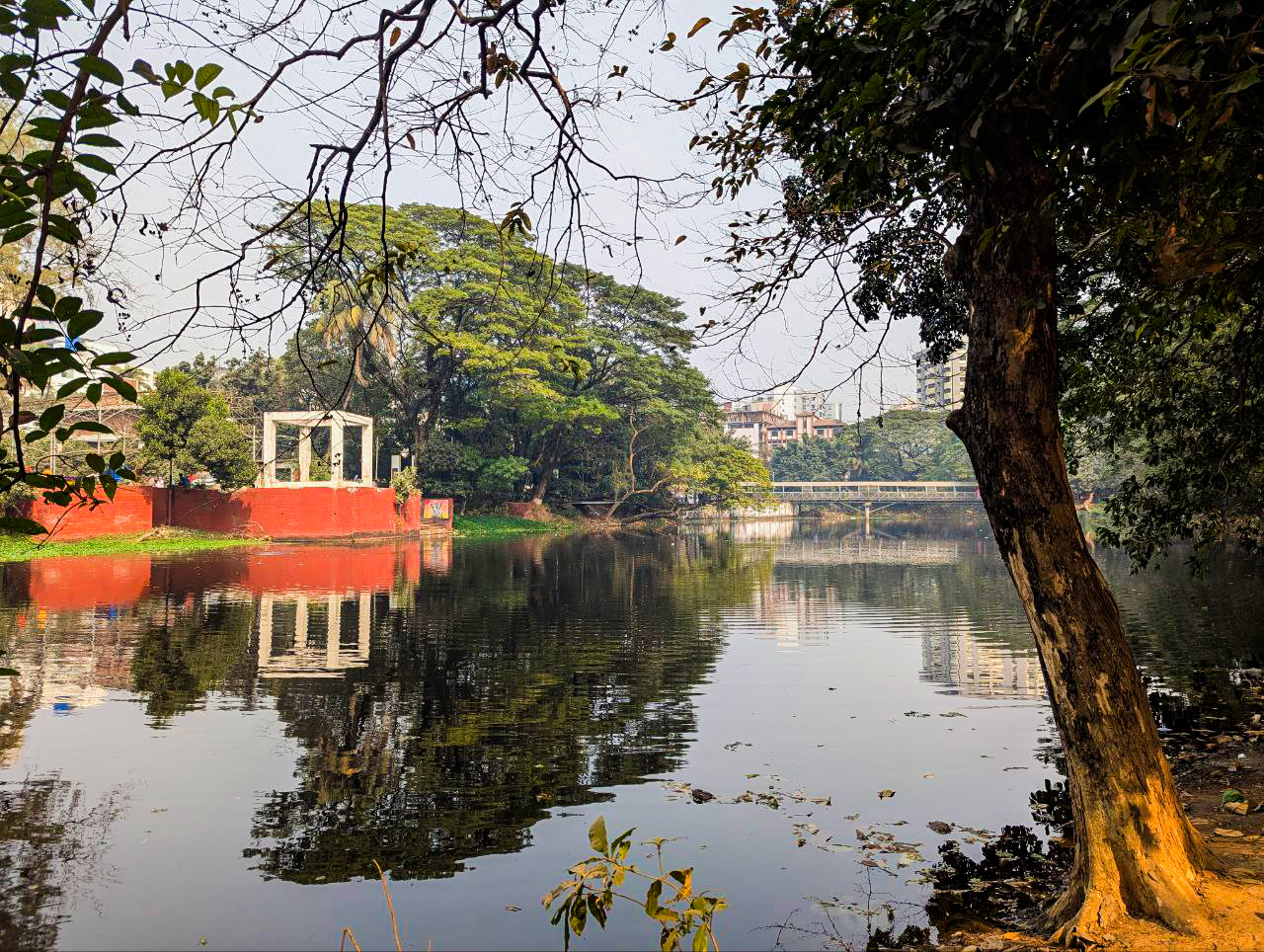 Before the water came into view, the odour announced the lake.