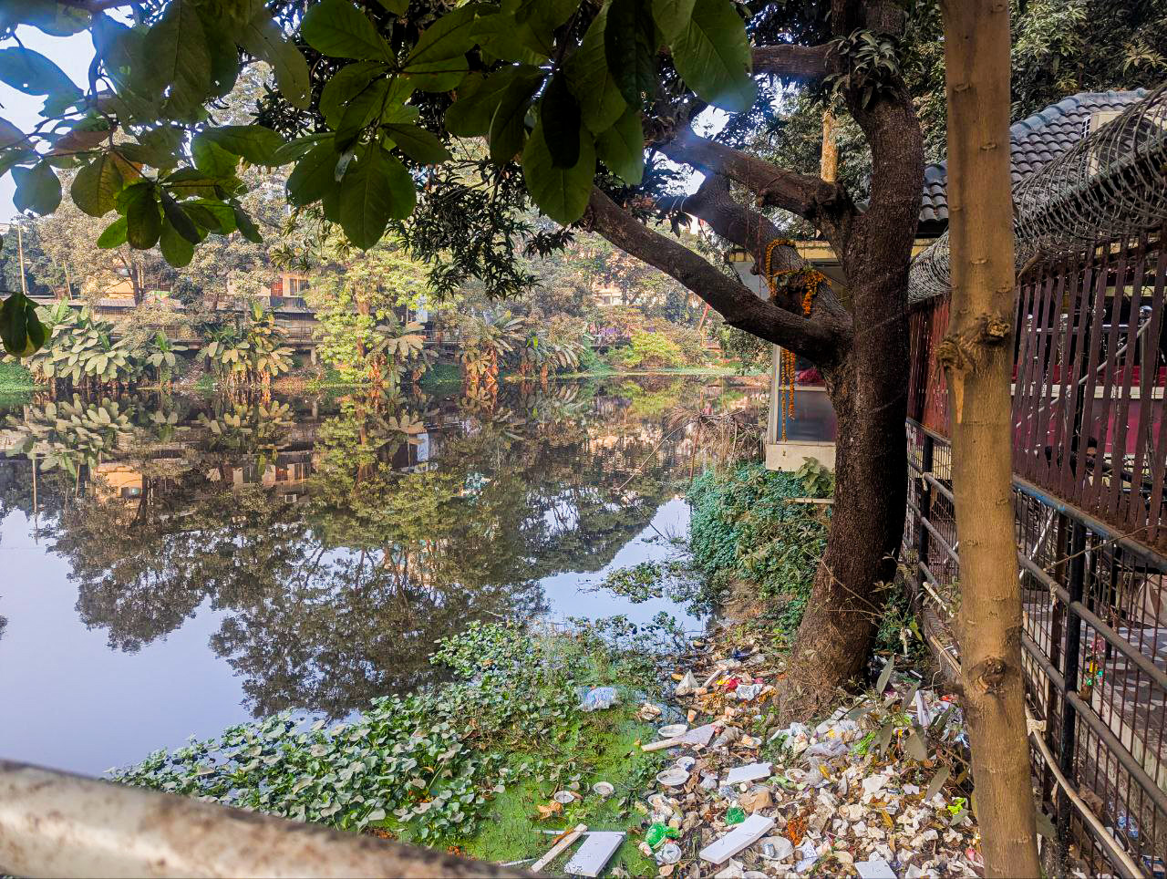 Garbage has become the most familiar presence in Dhanmondi Lake