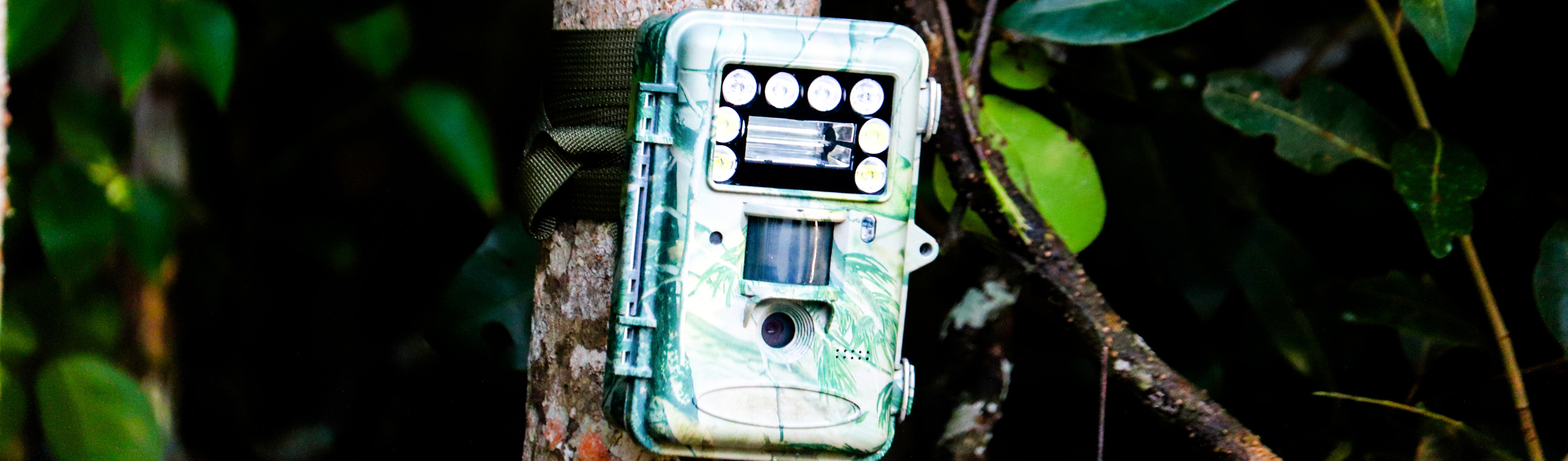 A camera trap installed by Arannayk Foundation to monitor crime-prone hotspots for tiger and deer poaching in the Sundarbans.