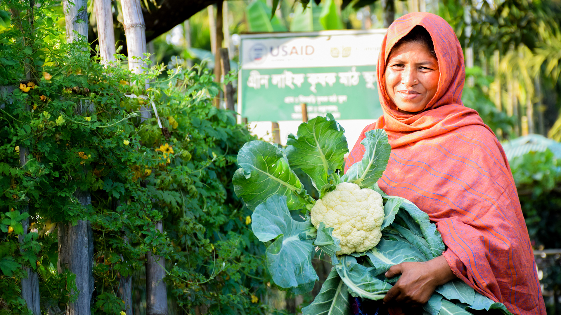 From Struggle to Strength: Livelihoods that Last