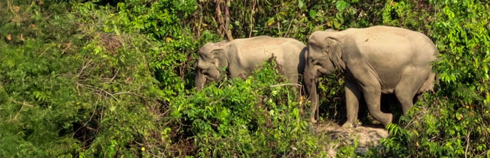 CONSERVATION TALK