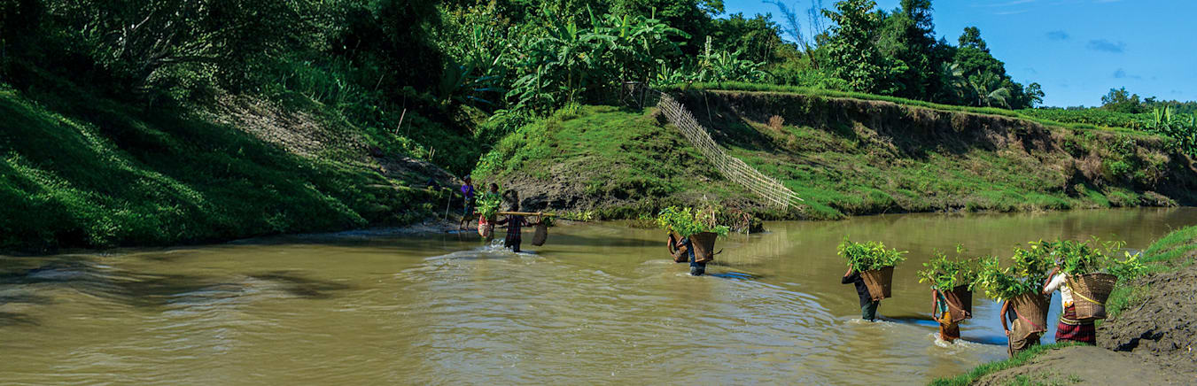 Forests First: Protecting Nature, Preserving Future