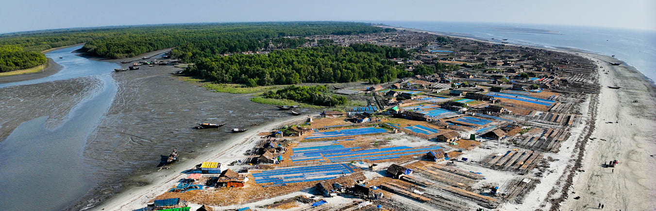 Mangrove, Marine and Island Ecosystems