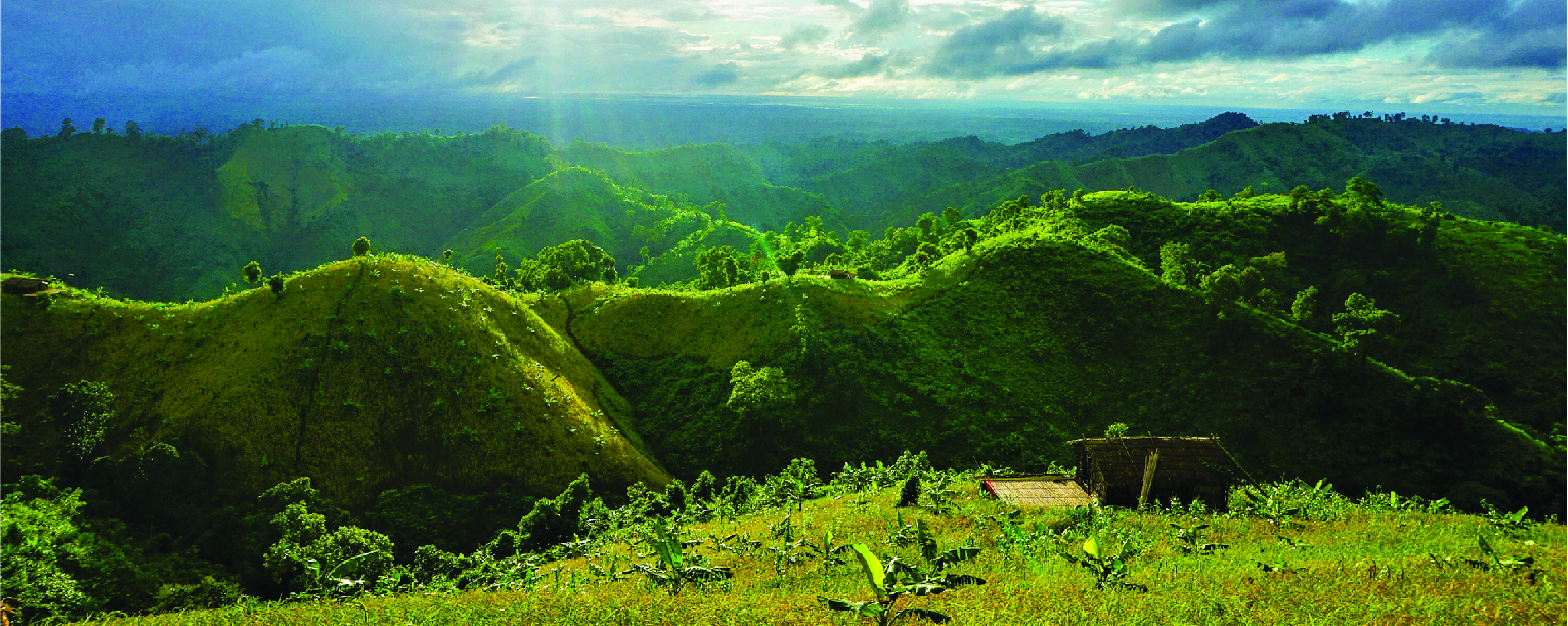HRM in Conservation: Protecting People who Protect the Planet