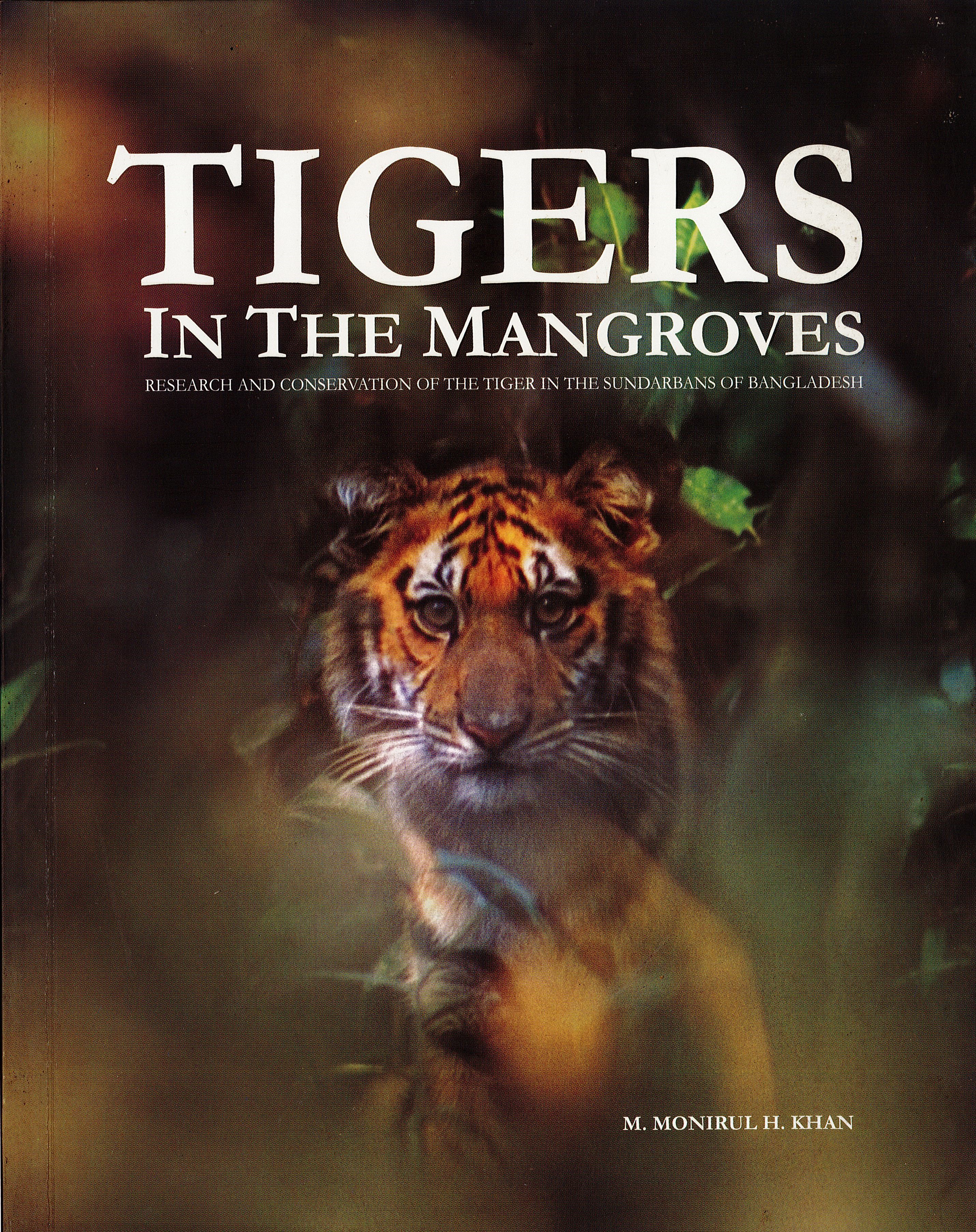 Tigers in the mangroves
