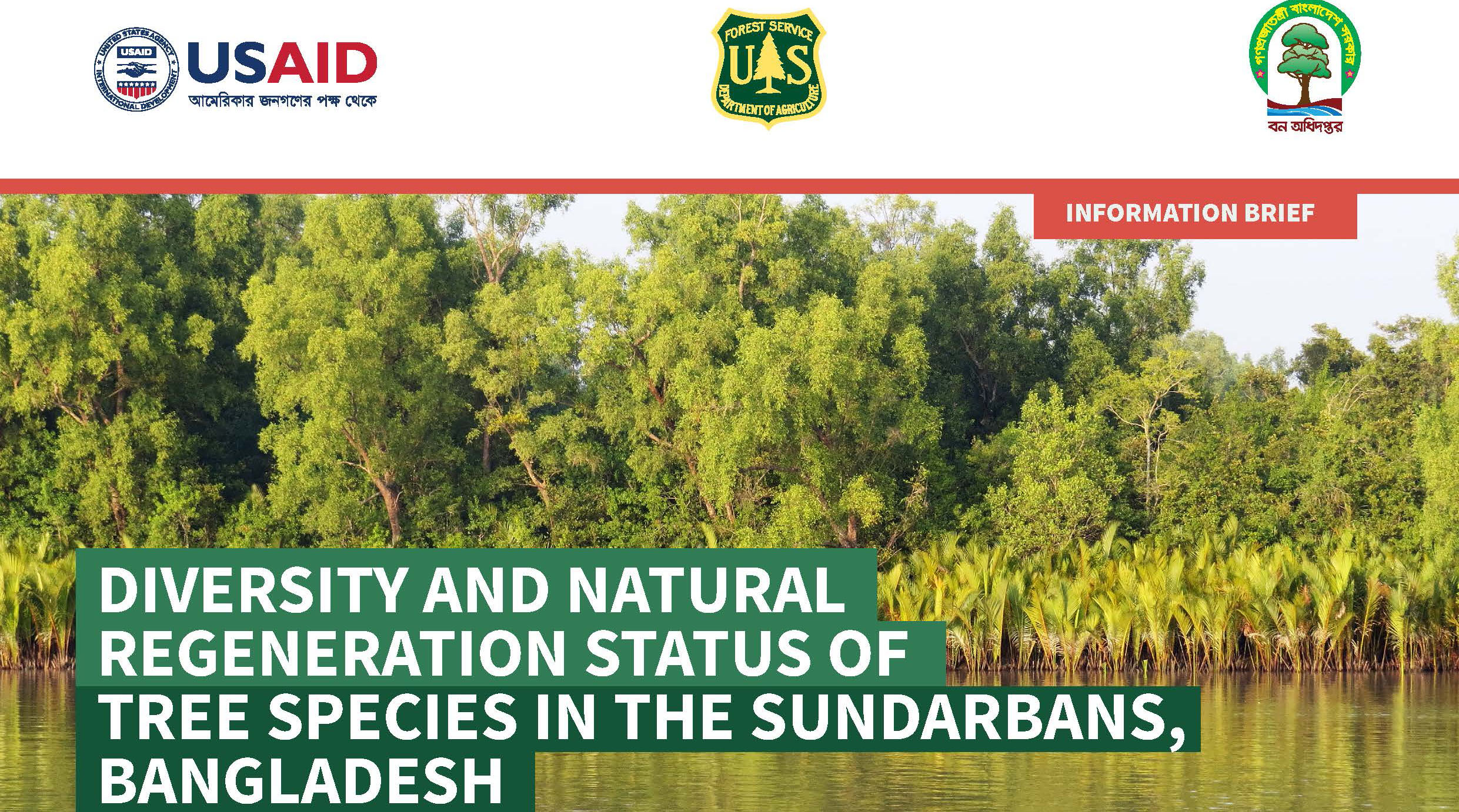 DIVERSITY AND NATURAL REGENERATION STATUS OF TREE SPECIES IN THE SUNDARBANS, BANGLADESH