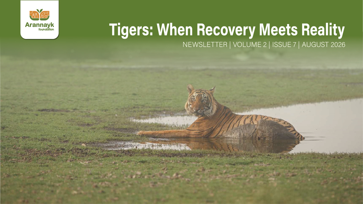 Tigers: When Recovery Meets Reality