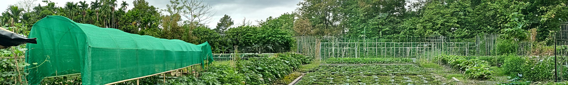 <h2>Climate Change Adaptation and Resilience Building</h2>