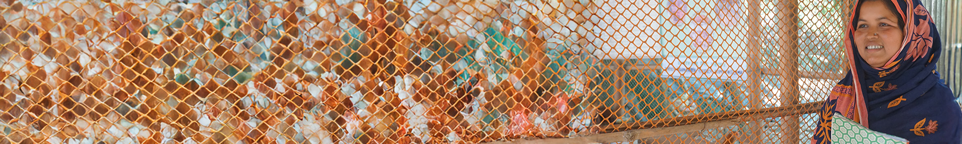 <h2>Sustainable Livelihood Development</h2>