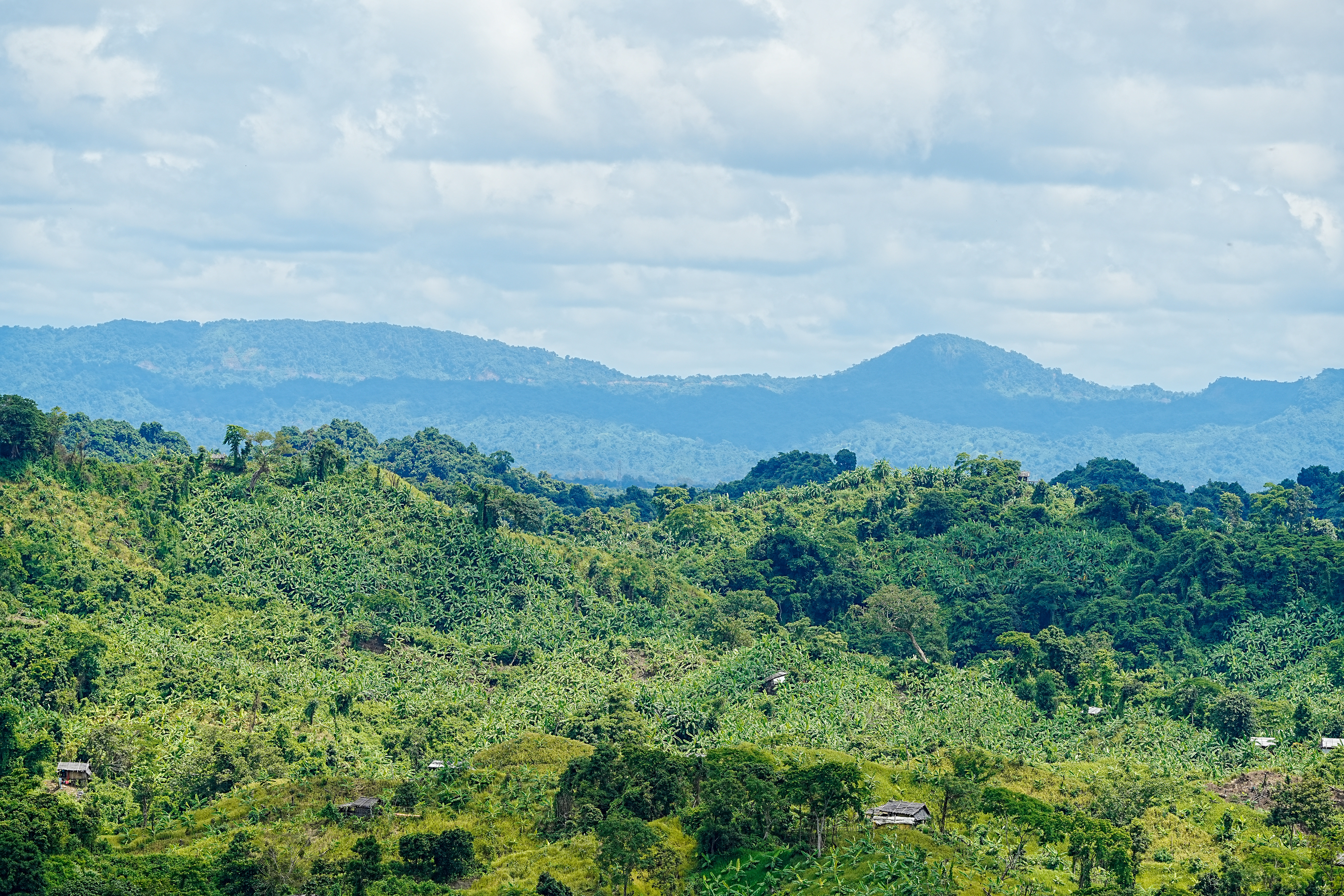 <h2>CONSERVATION BEYOND BORDER</h2>