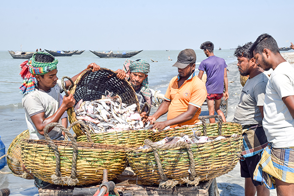 Feasibility Study on Dubla Island Fishers by Assessing Fishing and Fish Processing Practices, its Implications for Sundarbans and Marine Conservation