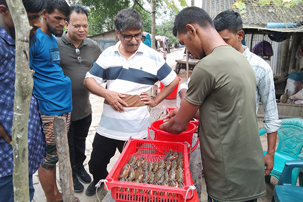 Study on Mud Crab Life Cycle and Current Harvesting Practices