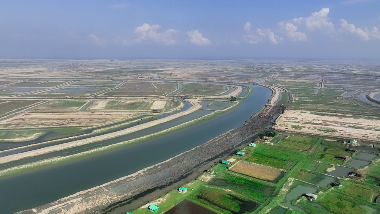Plantation on Embankment at 10 Acre, 11 Acres and 48 Acre Shrimp Estates, Chokoria, Cox’s Bazar