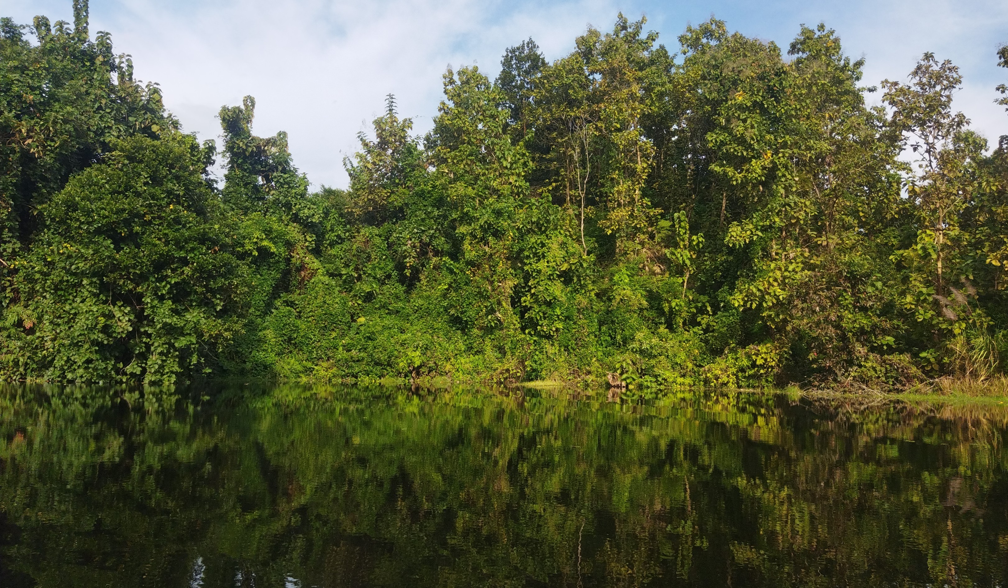 Ecopark Master Plans for Biodiversity Conservation and Sustainable Tourism