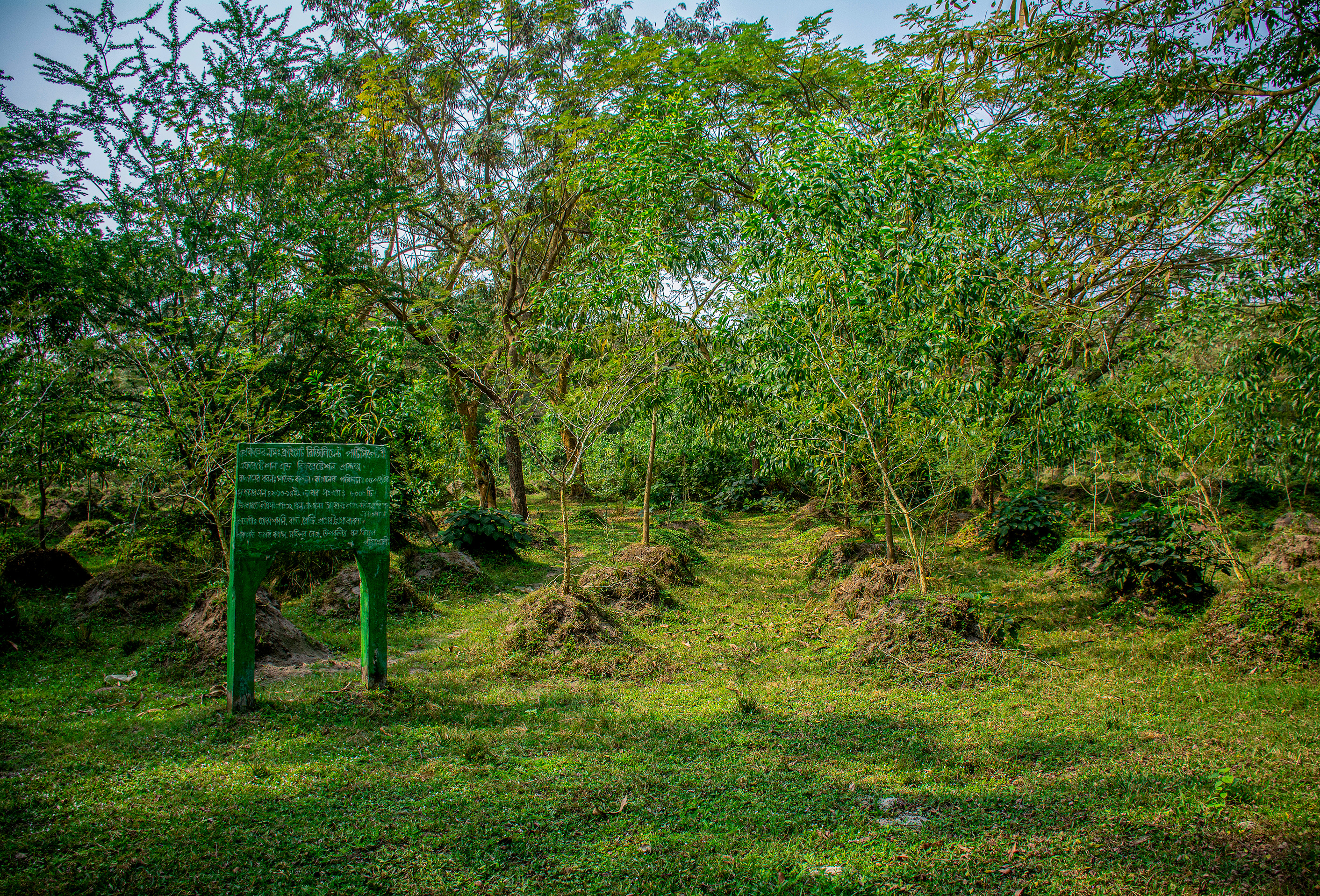 Climate Resilient Participatory Afforestation and Reforestation Project (CRPARP)